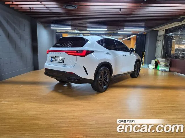 LEXUS NX350H 2026 — 4 135 км, белый, Корея — под ключ — фото 2