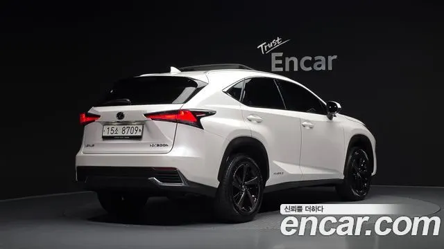 LEXUS NX300H 2019 — 74 799 км, белый, Корея — под ключ — фото 1