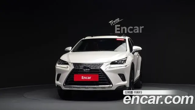 LEXUS NX300H 2019 — 74 799 км, белый, Корея — под ключ — фото 3