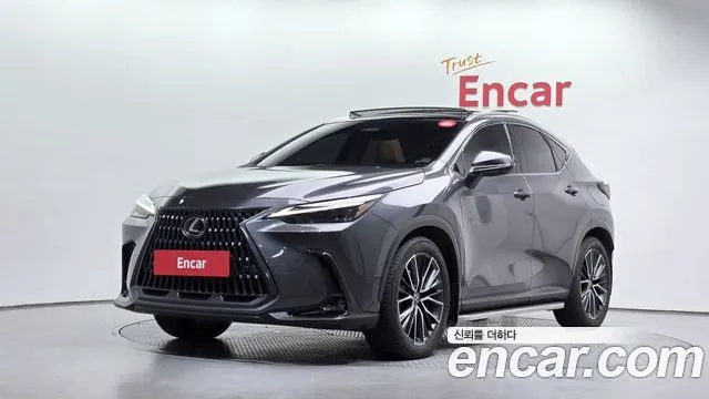 LEXUS NX350H 2024