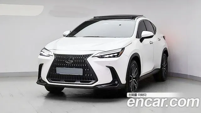 LEXUS NX350H 2024