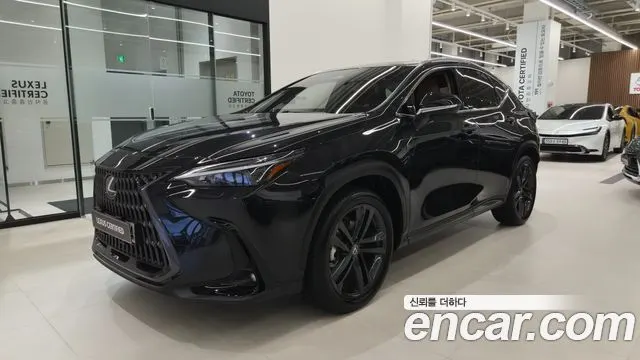LEXUS NX350H 2025 — 12 009 км, чёрный, Корея — под ключ — фото 11