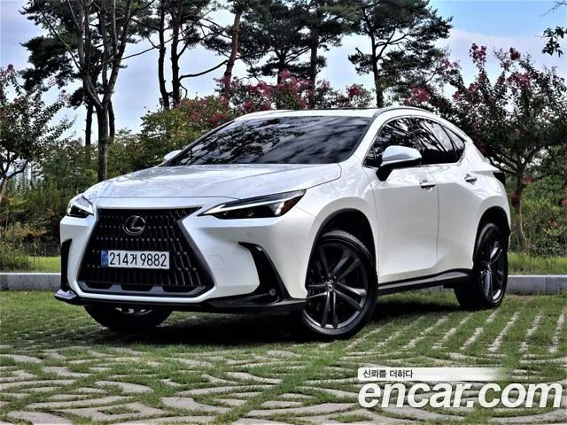 LEXUS NX350H 2025 — 14 700 км, белый, Корея — под ключ — фото 1