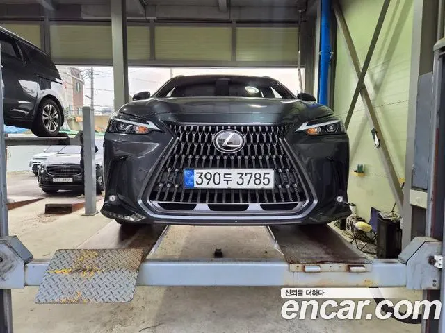 LEXUS NX350H — из Кореи под ключ