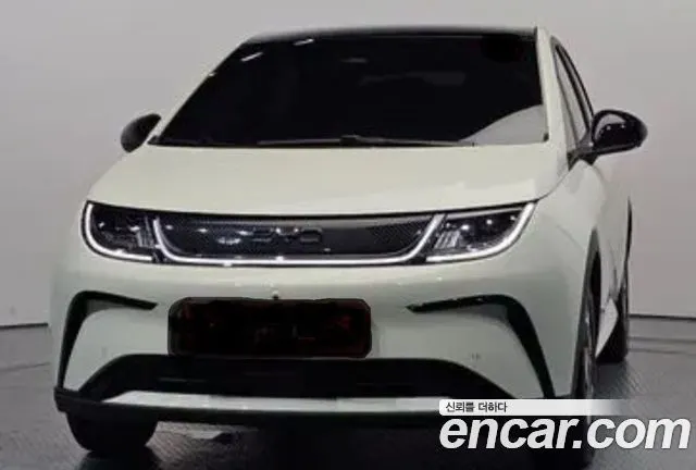 BYD DOLPHIN — из Кореи под ключ
