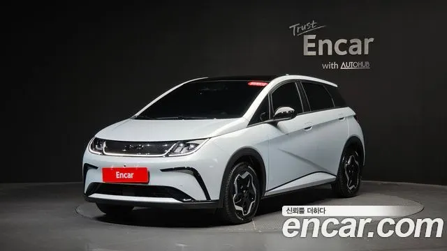 BYD DOLPHIN — из Кореи под ключ