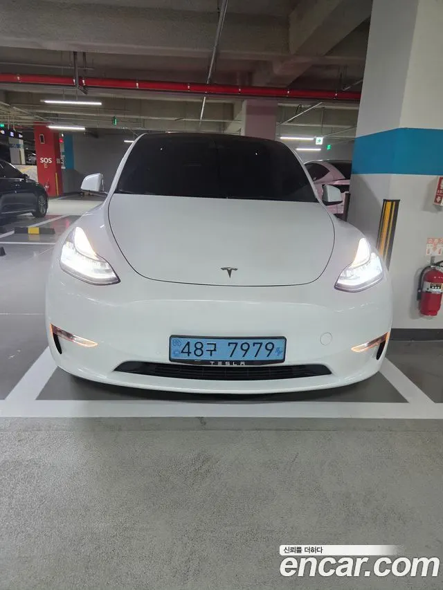 TESLA MODEL Y — из Кореи под ключ