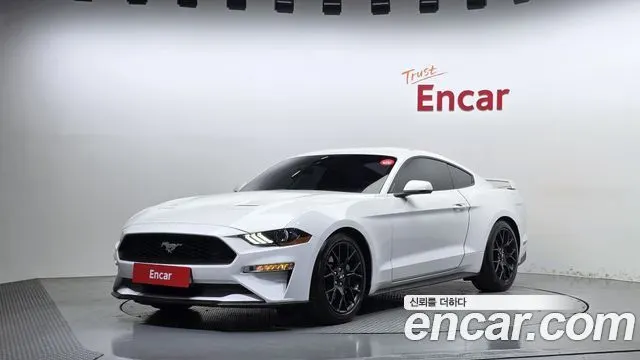 FORD MUSTANG — из Кореи под ключ