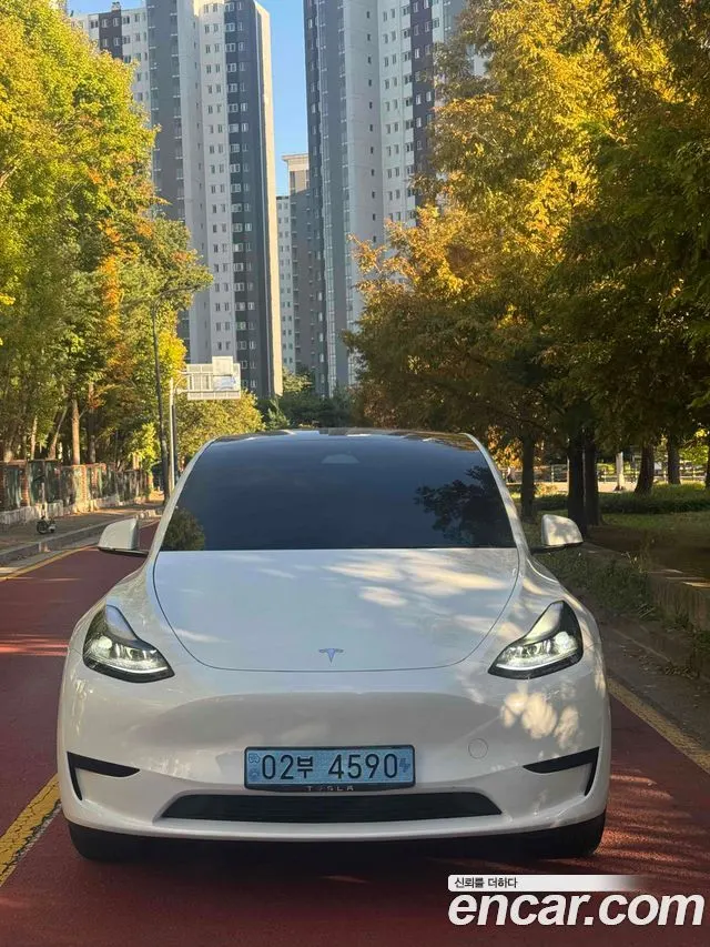 TESLA MODEL Y — из Кореи под ключ