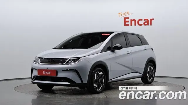 BYD DOLPHIN — из Кореи под ключ