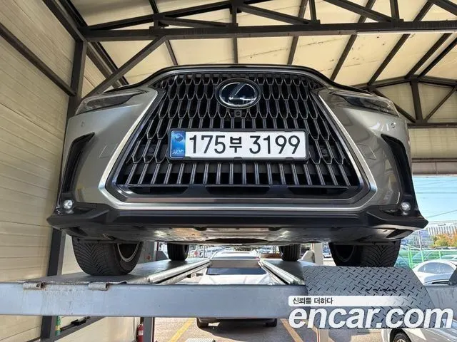 LEXUS NX350H — из Кореи под ключ