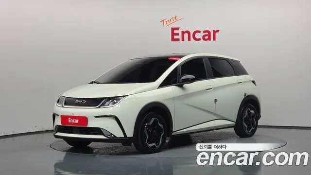 BYD DOLPHIN — из Кореи под ключ
